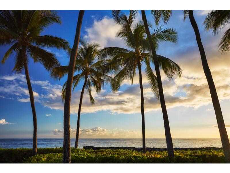 海外旅行イラスト無料イラスト・フリー素材なら「イラストAC」