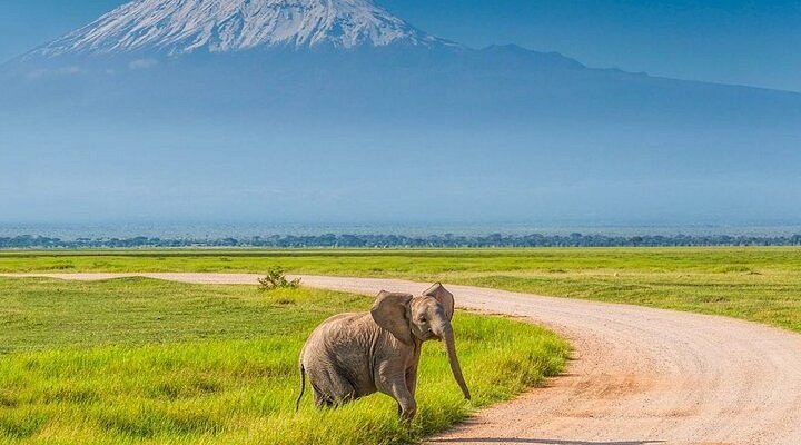 ケニア アンボセリ国立公園』アンボセリ ケニア の旅行記・ブログ by