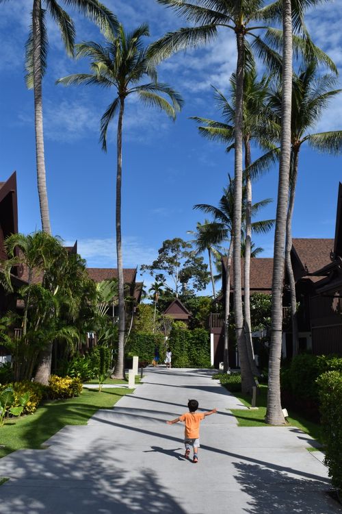 サムイ国際空港からバンコクエアウェイズで出国!注意したい点は