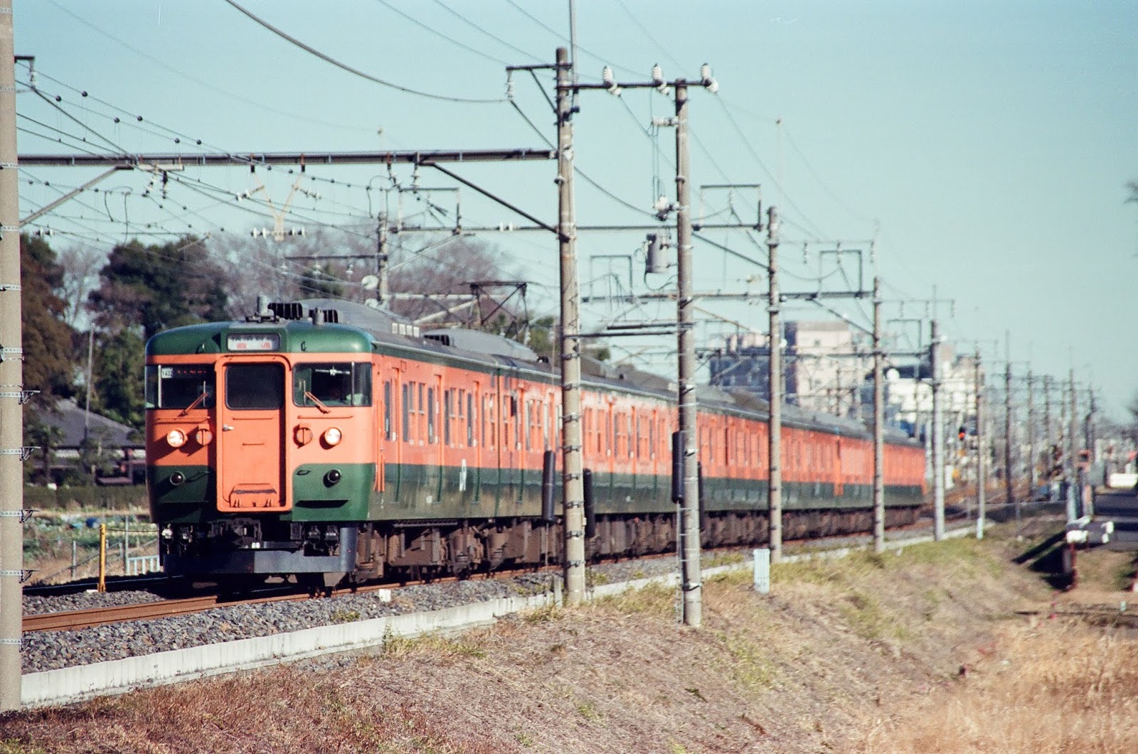 ヒガハスで185系と95カシオペアを撮影てつまみレのﾌﾞﾛｸﾞ