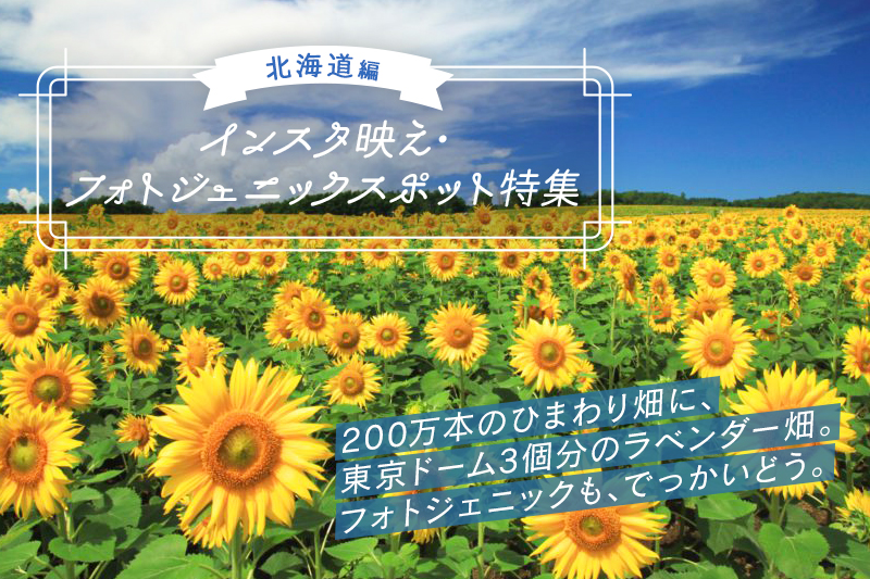 北海道小樽市 『インスタ映えスポット』風情あるレトロな街並みを満喫し、景色に癒されるデートプラン地元の人が教える日本国内旅行プランサイト トリップログ