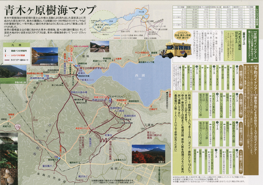 富士山麓・青木ヶ原樹海トレッキング怖くない“神秘の森歩き”体験記ぐうた楽ブログ