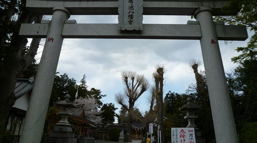 亀ケ池八幡宮 御朱印帳御朱印付き- メルカリ