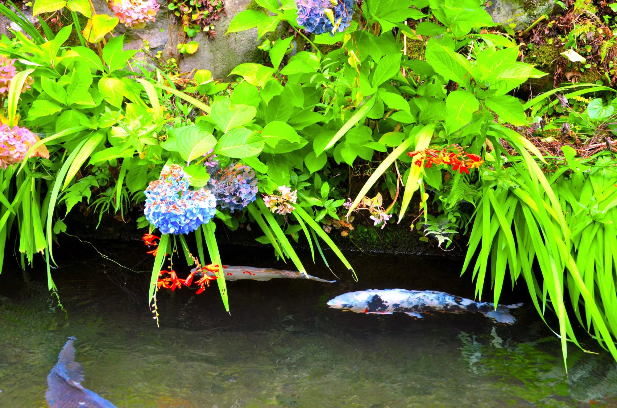 いがわ小径ポケットの中の物語郡上市