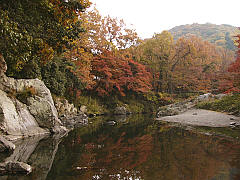 水面に映える紅葉が見頃に 岩畳や周辺の木々、京都・嵐山に似た景観 埼玉・嵐山渓谷でハイカーら景色楽む埼玉新聞埼玉の最新ニュース・スポーツ・地域の話題