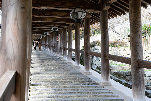 絶景旅で深呼吸を。奈良の紅葉名所へ 奈良のイチ推しいざいざ奈良ＪＲ東海