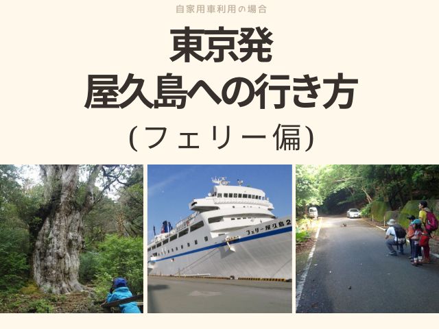 屋久島 交通手段