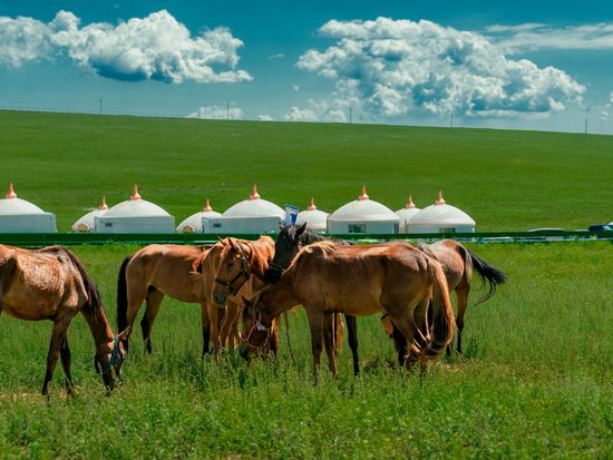 ゲル・パオ・ユルトの違いと覚え方 テント- 地理情報サイト