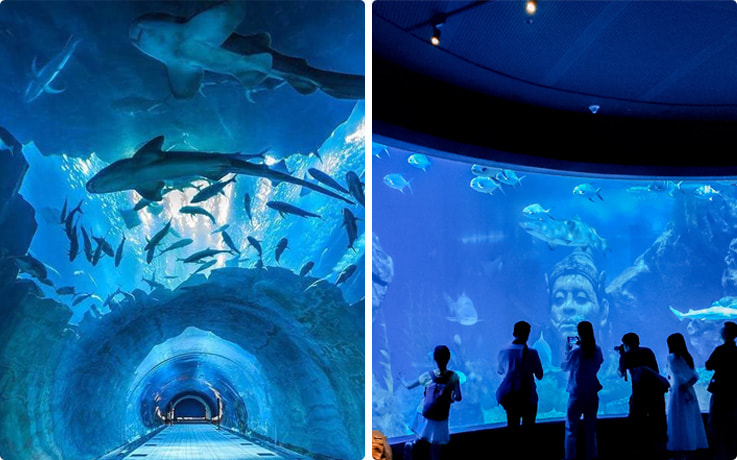 シーライフ・バンコク・オーシャン・ワールド公式 タイ国政府観光庁