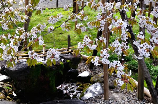 日光山 輪王寺 多言語サインボードサイト三仏について