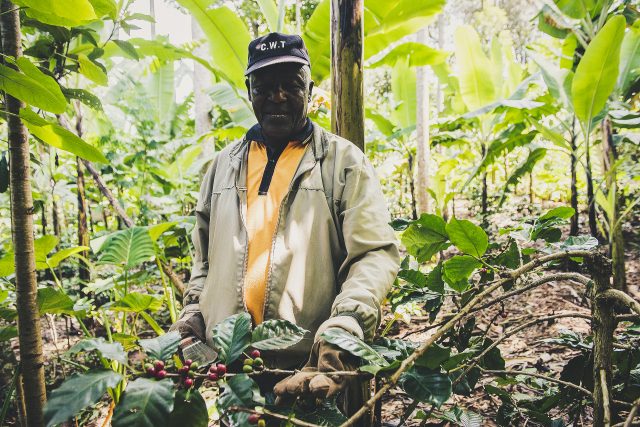 アフリカ諸国はなぜウクライナを支援しようとしないのか 簡単には忘れられない植民地支配の辛い記憶とロシアの援助 1