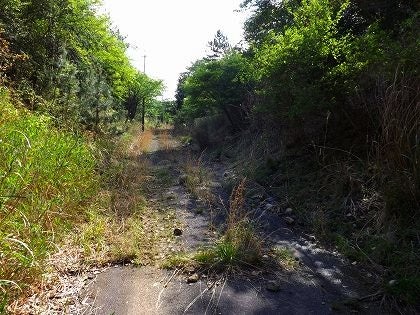 廃墟ホテル タイランドのゴルフ場タイランドのパタヤで プチ海外移住