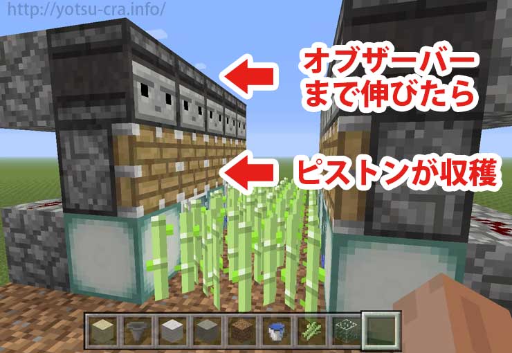 マイクラ サトウキビを自動で収穫できる装置を3つ紹介 統合版 テックマインブログ