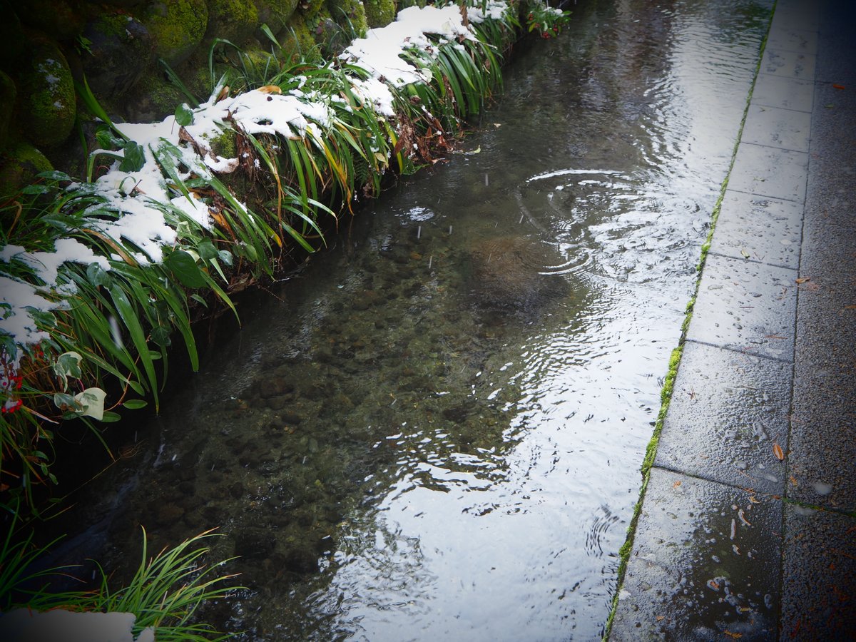 いがわ小径 クチコミ・アクセス・営業時間郡上八幡 フォートラベル