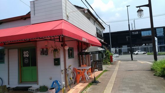 猫カフェ 猫喫茶 空陸家