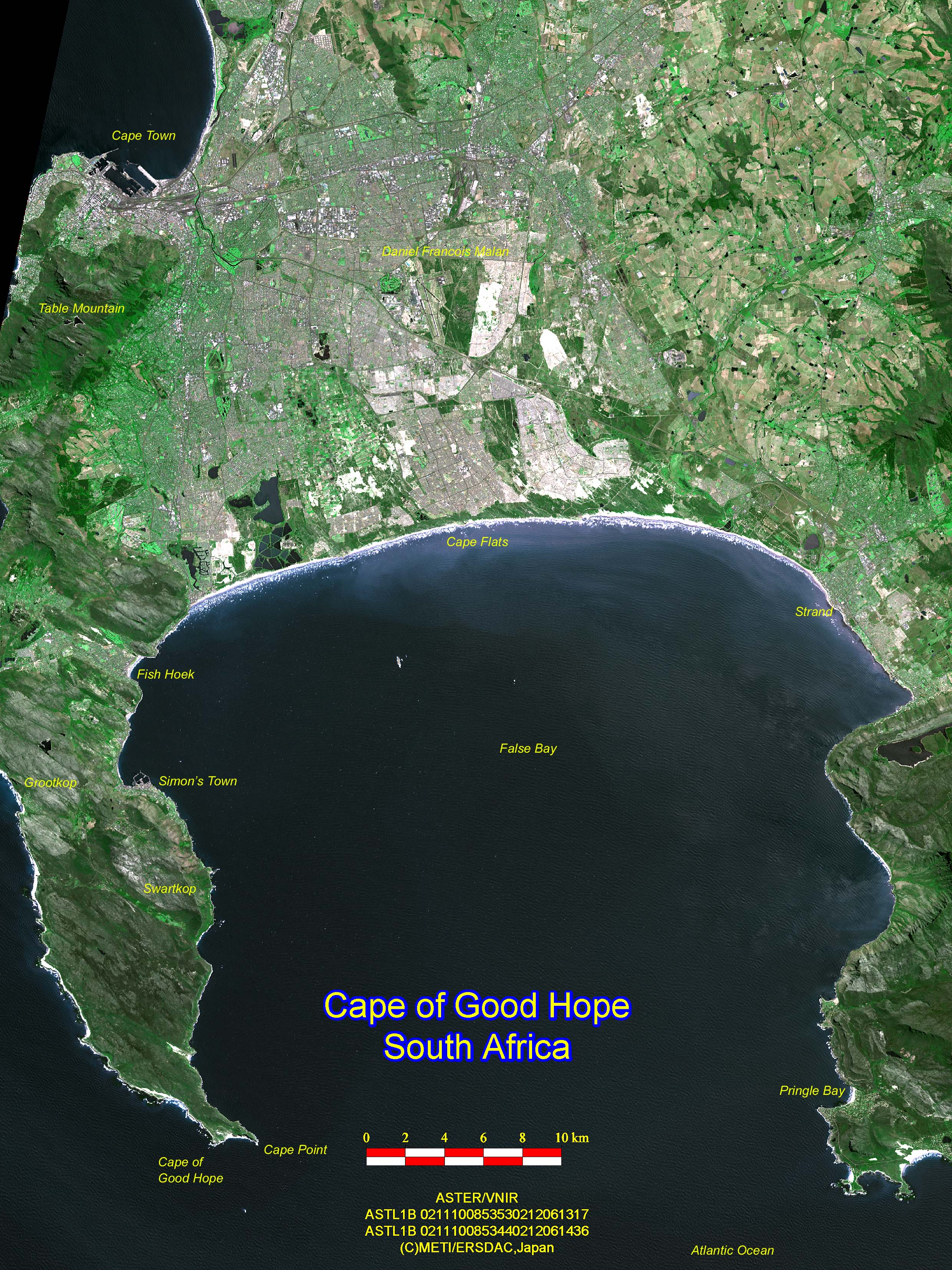 バスコ・ダ・ガマのレビュー by のっちボードゲーム情報