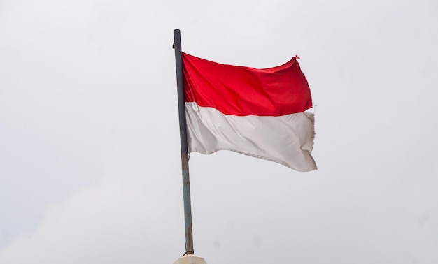 世界各国の国旗 - ウェザーニュース