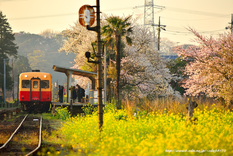 上総鶴舞駅 路線図・路線一覧レイルラボ RailLab