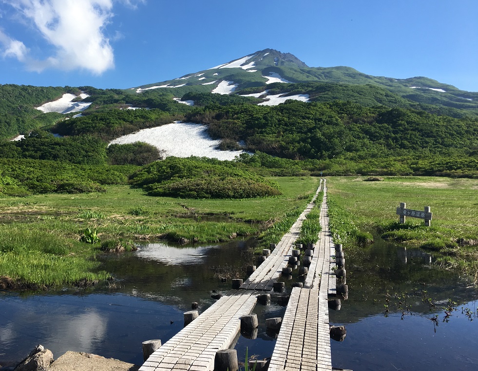 由利本荘市の8地域がモチーフ ご当地キャラクター「ゆりほん娘」が市の公認に 地域の特色PRへ