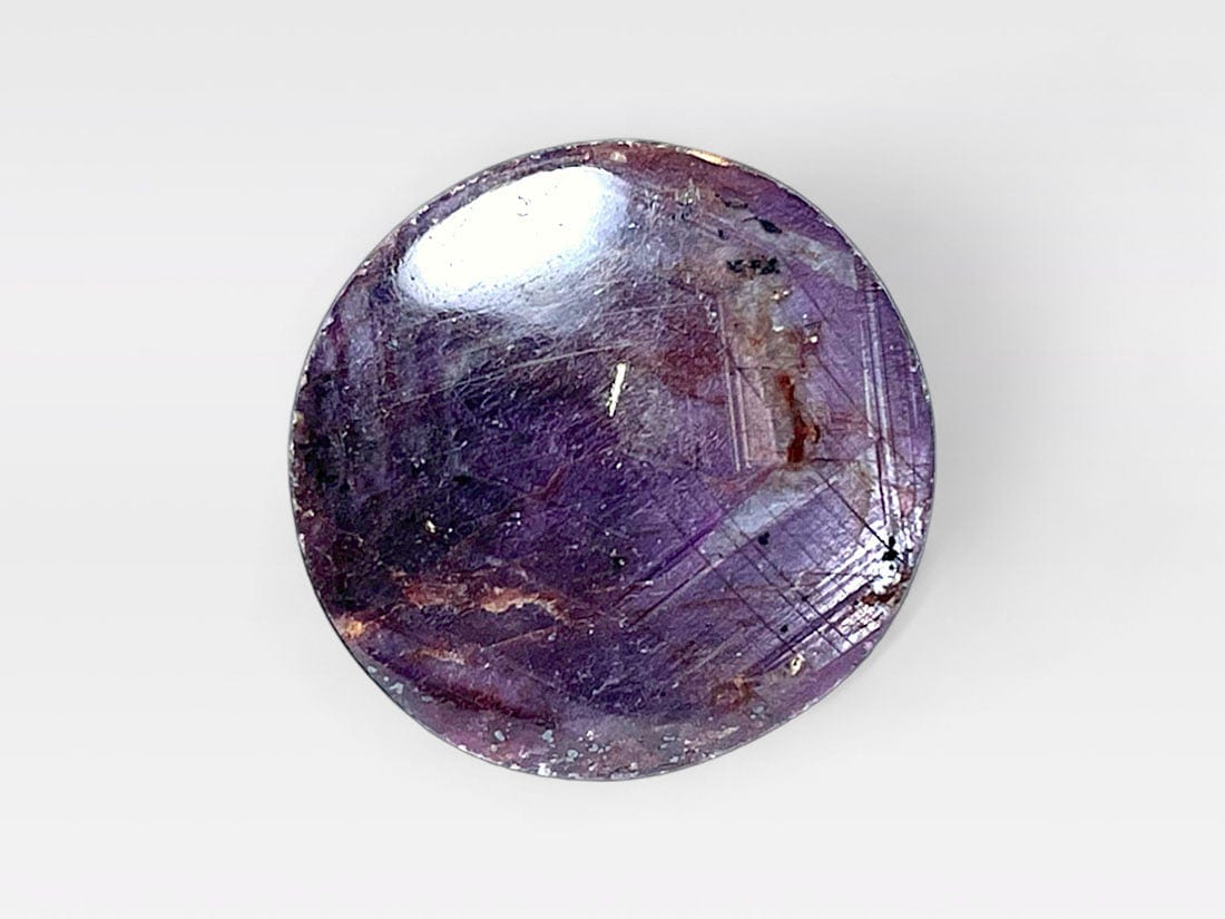 36 Yael Shelbia Stock