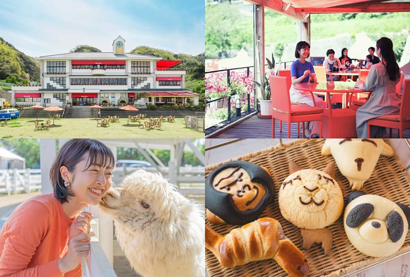 淡路島×女子旅に人気の宿 屋内プールありおすすめホテル・旅館 - 宿泊予約は