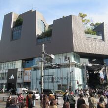 原宿・表参道の休憩場所。東急プラザの「おもはらの森」がおすすめです。やまでら くみこ のレシピ