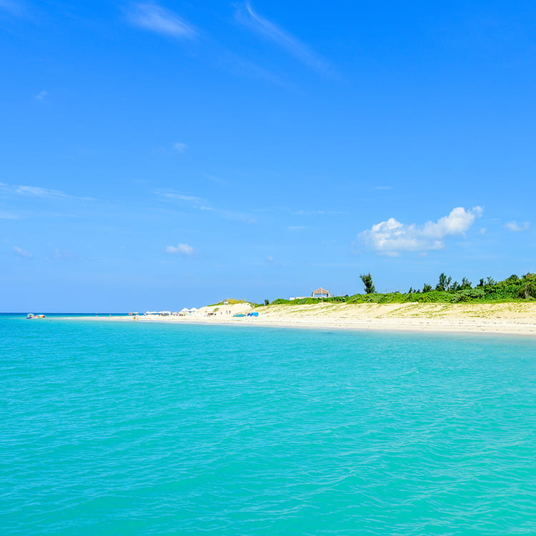 沖縄といえば？絶対に行くべき観光スポット＆食べ物12選をご紹介アクティビティジャパン