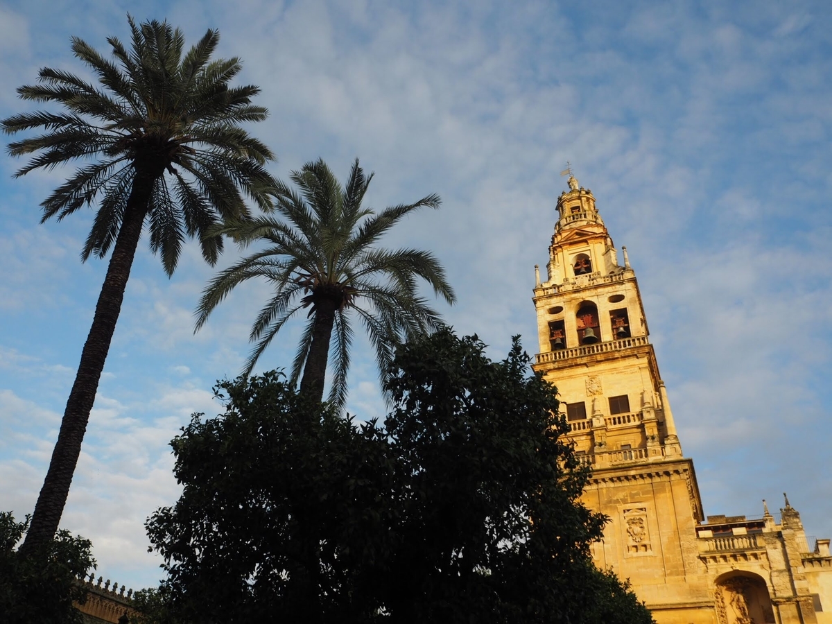 いつか見たい世界の初夏絶景 ひまわりが一面に広がるビビッドな世界「スペイン・アンダルシア州」TABIZINE～人生に旅心を～