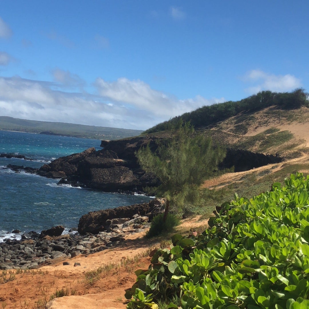 モロカイ島 ハワイ基本情報行き方・気候・時差 JTB