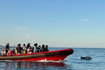 デヴォンの夏休み2023、最後は人気作家アガサ・クリスティゆかりの町トーキー : ロンドン