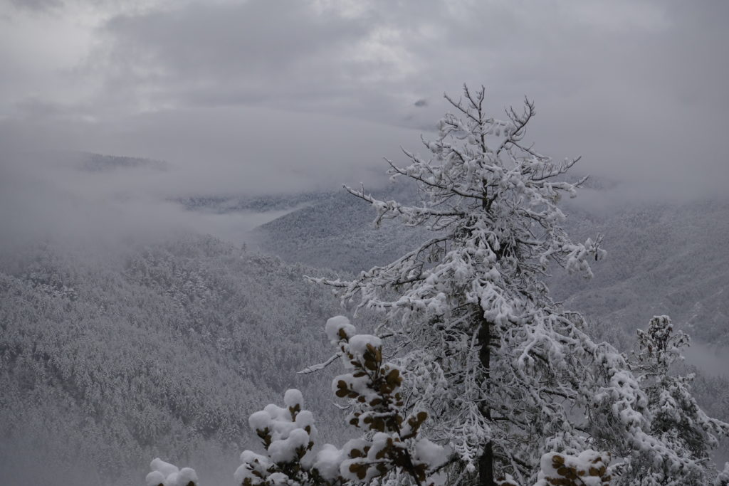 絶景Q No.099 たどり着いたら世界一幸せになれるかも！？ブータンの「タクツァン僧院」トジョウエンジン