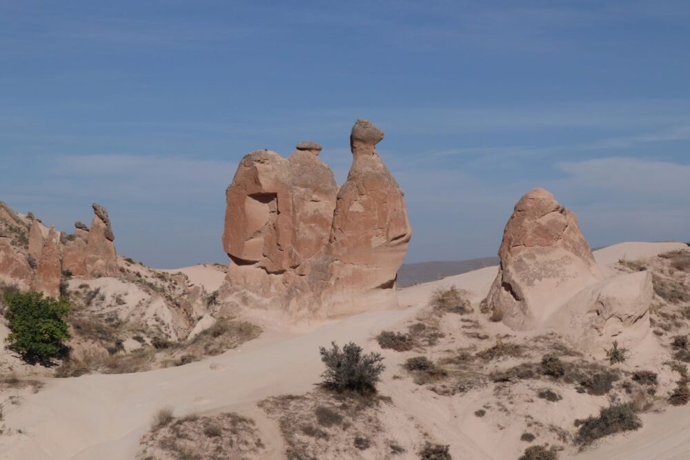 トルコの春はバラで美しい月の砂漠－ヨルダンから - 楽天ブログ