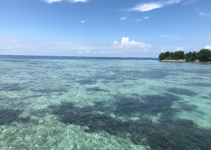 ジャカルタ水族館サファリ Jakarta Aquarium