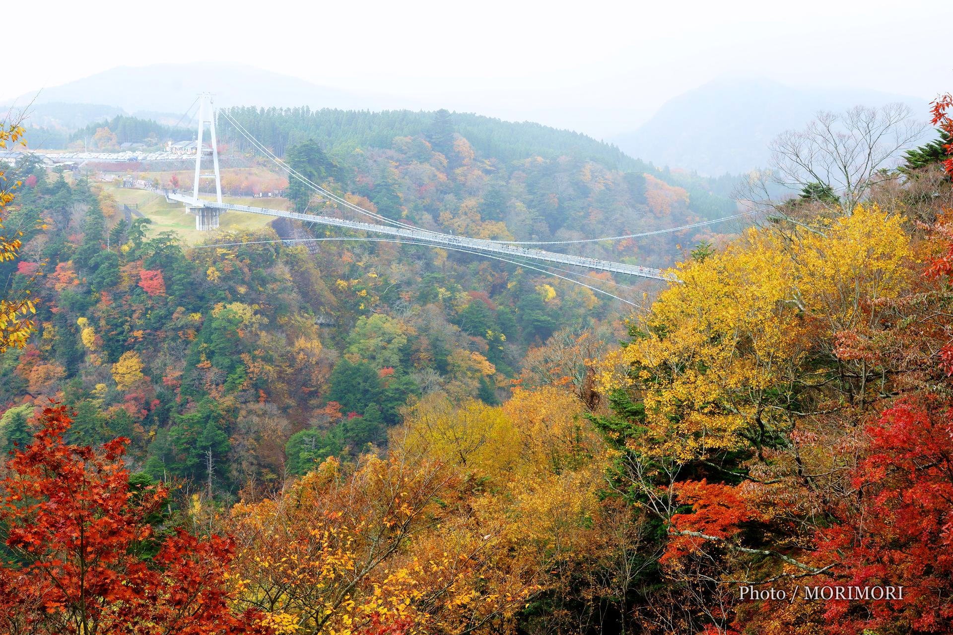 九重”夢”大吊橋 – 九重・飯田高原観光協会