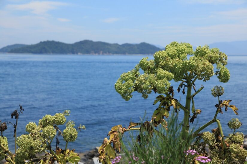四国のみずべ八十八カ所 － 86 屋島檀ノ浦 長崎の鼻