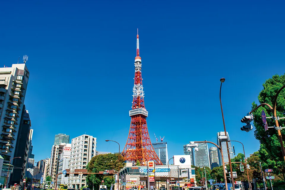 インスタ映えで人気の東京タワー撮影スポット！＠芝公園の夜景と並木道αのEVFが見せる世界