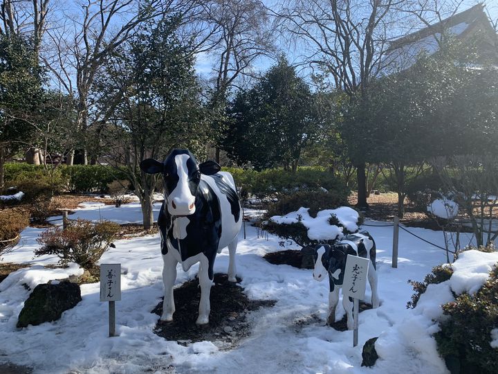 編集部おすすめ＞ 冬に訪れたい長野の観光スポット＆楽しみ方 まとめGo! NAGANO