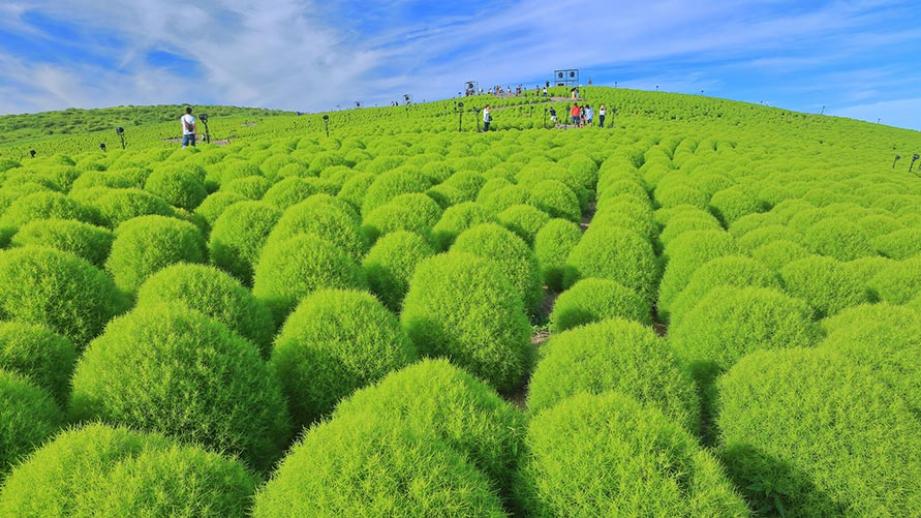 楽天トラベル、2014年国内旅行 都道府県別伸び率ランキング発表楽天グループ株式会社のプレスリリース