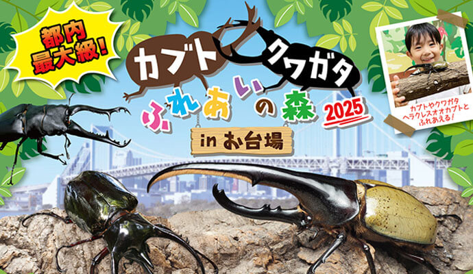 お台場周辺 2024年夏休みのおでかけにおすすめ！人気のスポットランキングいこーよニュース