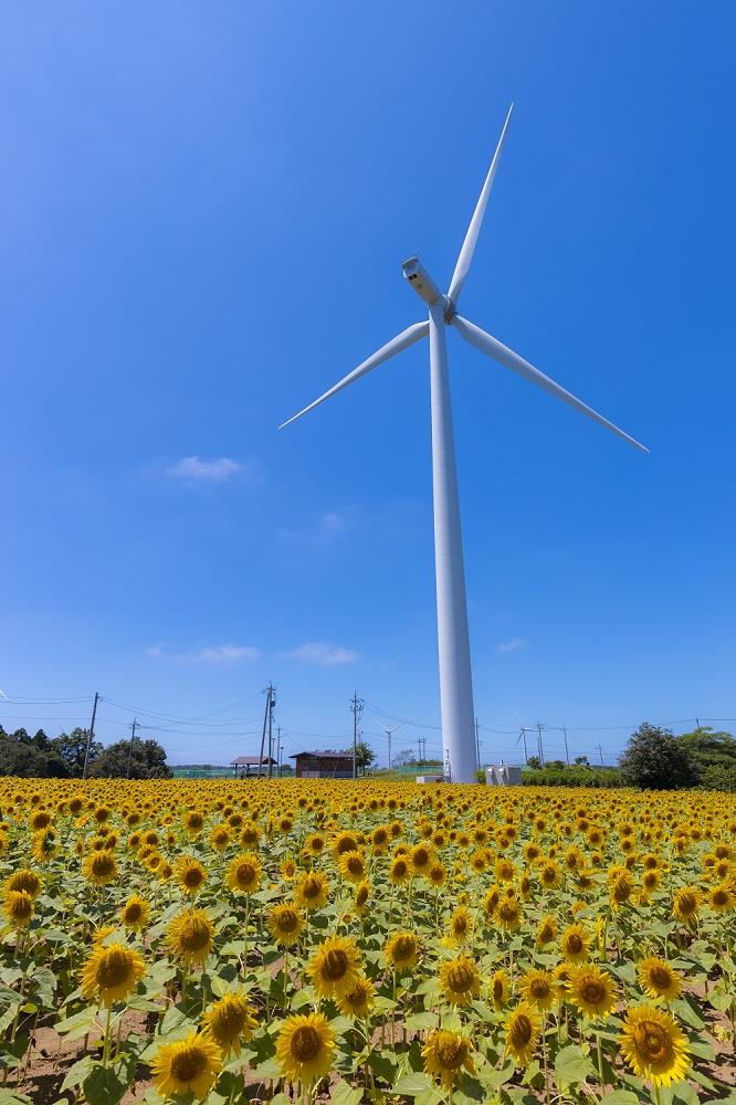 ファミリーコース 福井しあわせの巡遊コース