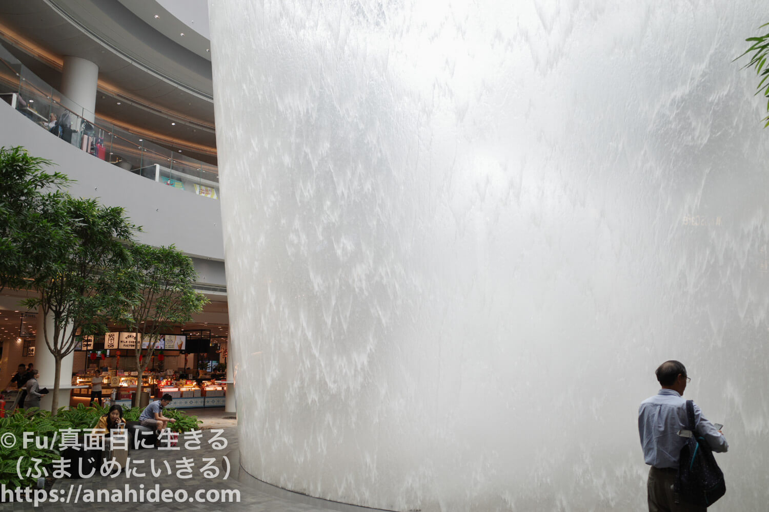 シンガポール・チャンギ国際空港の“ジュエル”AIRLINE web -月刊エアライン×航空旅行