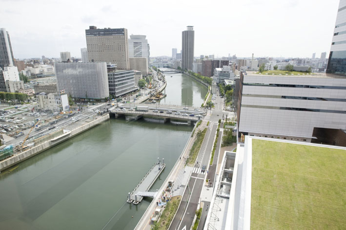 ゴリモンな日々今冬もアヒル登場 ほたるまち 芝川ビル
