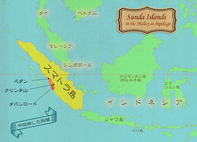 絶滅の危機にあるスマトラの動物たち
