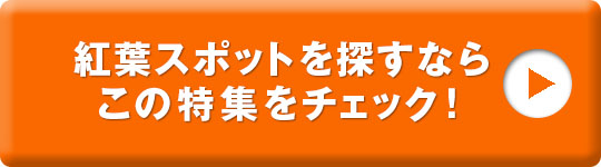 東京タワー ライトアップやイベントはあるの？もっと楽しみたい東京のシンボルと周辺観光スポット –