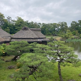 彦根城から金亀公園へ移動迄の写真です。途中の玄宮園の庭園の池が抹茶色でとても綺麗でしたよ。玄宮園は、彦根城天守より全体が綺麗に見えます。 -Photo de Koki