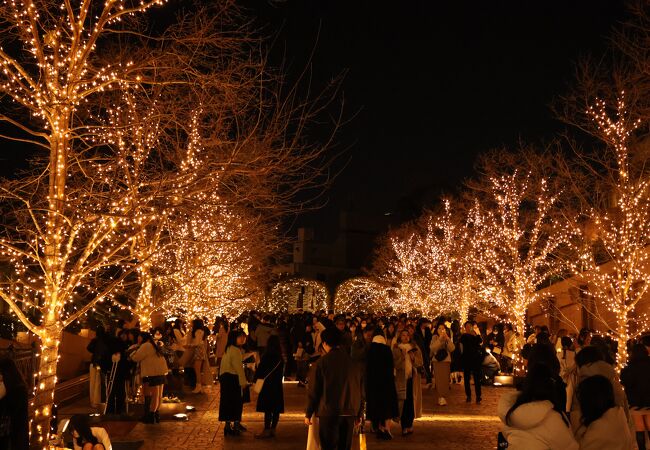 恵比寿ガーデンプレイスでクリスマスイルミ 開業30周年で特別演出も -