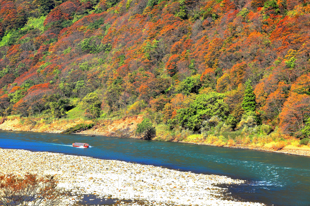 もみじ公園 山形県 山形市街 のアクセス・営業時間・料金情報るるぶ&more
