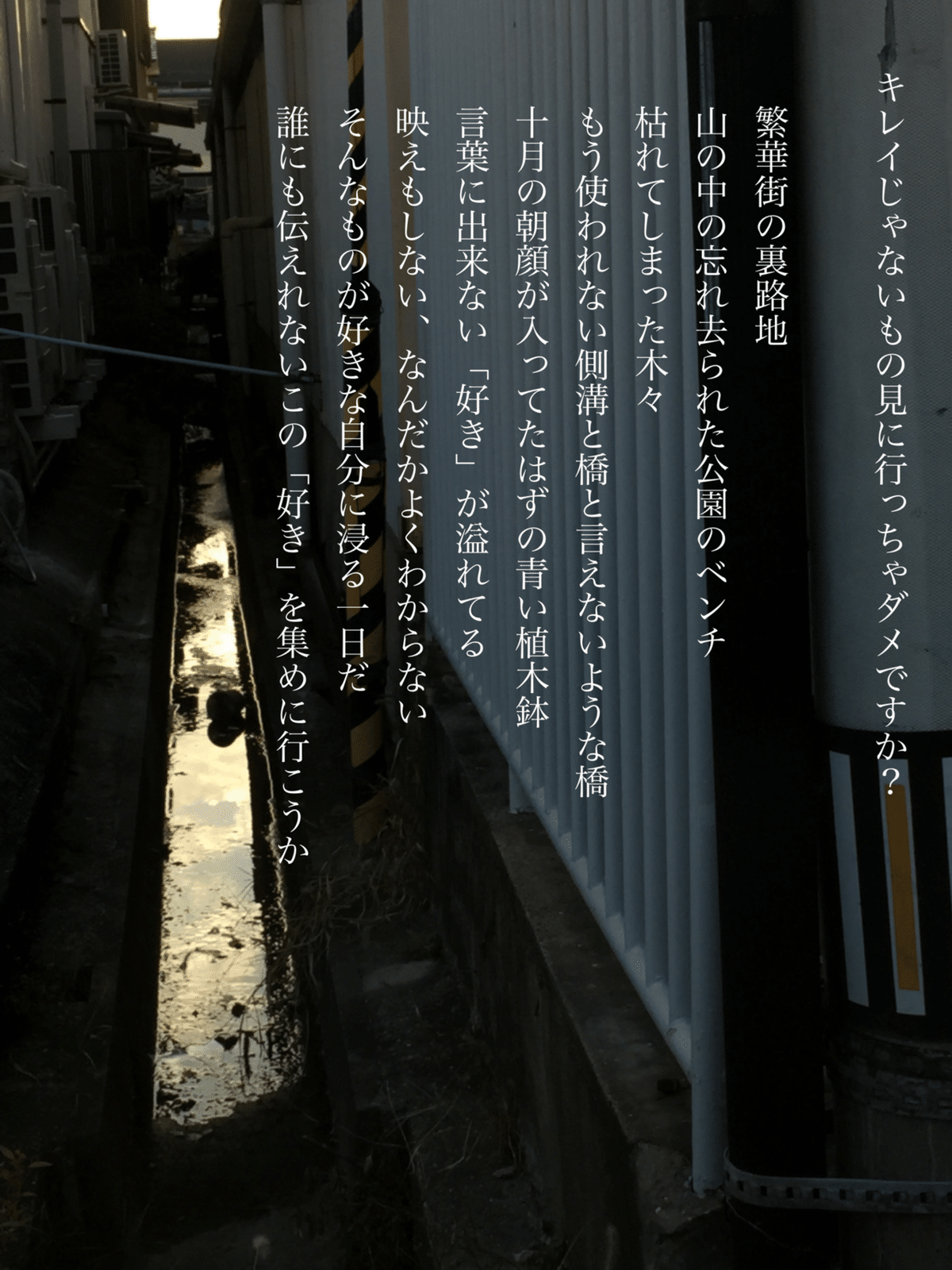 今すぐまねしたい お手本キャッチコピー 家族みんなの