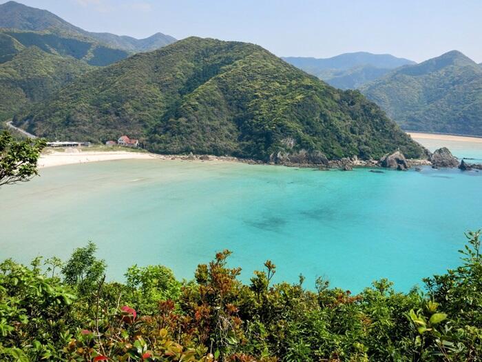 蛤浜海水浴場 アクセス・営業時間・料金情報 -