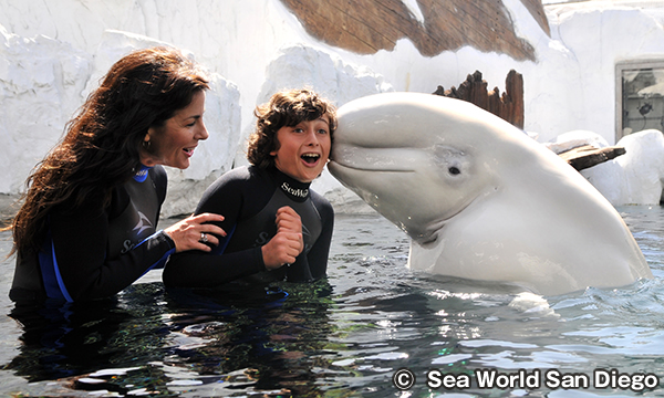 サンディエゴの地図 マップサンディエゴ観光ガイド現地情報誌ライトハウス